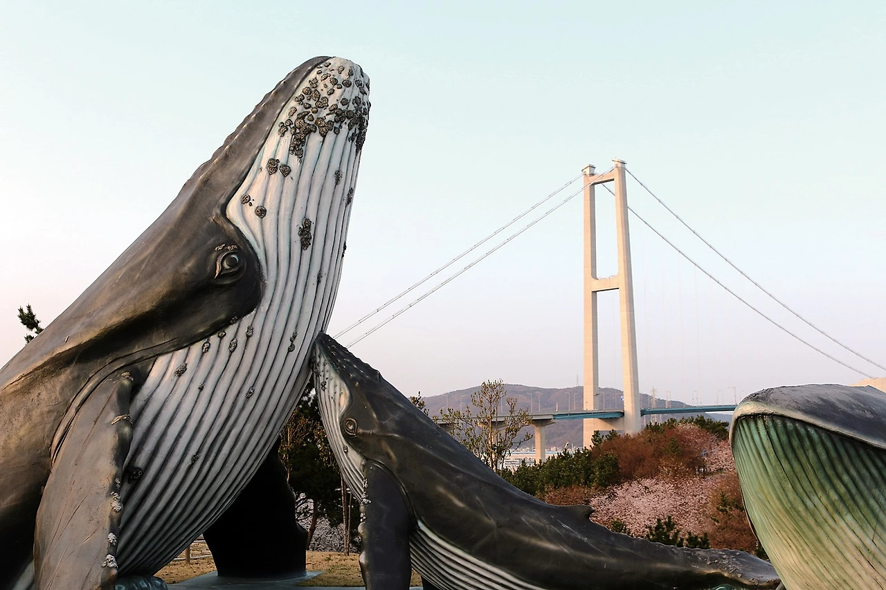 울산_장생포고래문화마을 (3).JPG