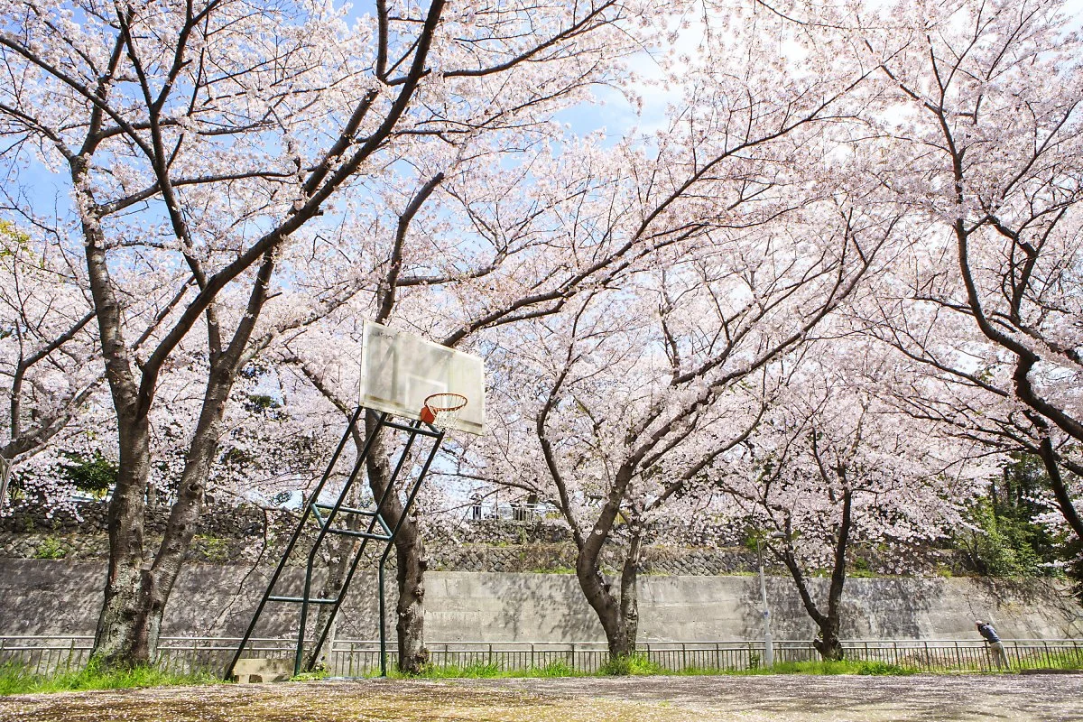 %EC%82%B0%EC%A7%80%EC%B2%9C_%EC%A0%95%EC%9D%80%EC%A3%BC.JPG?type=w1200