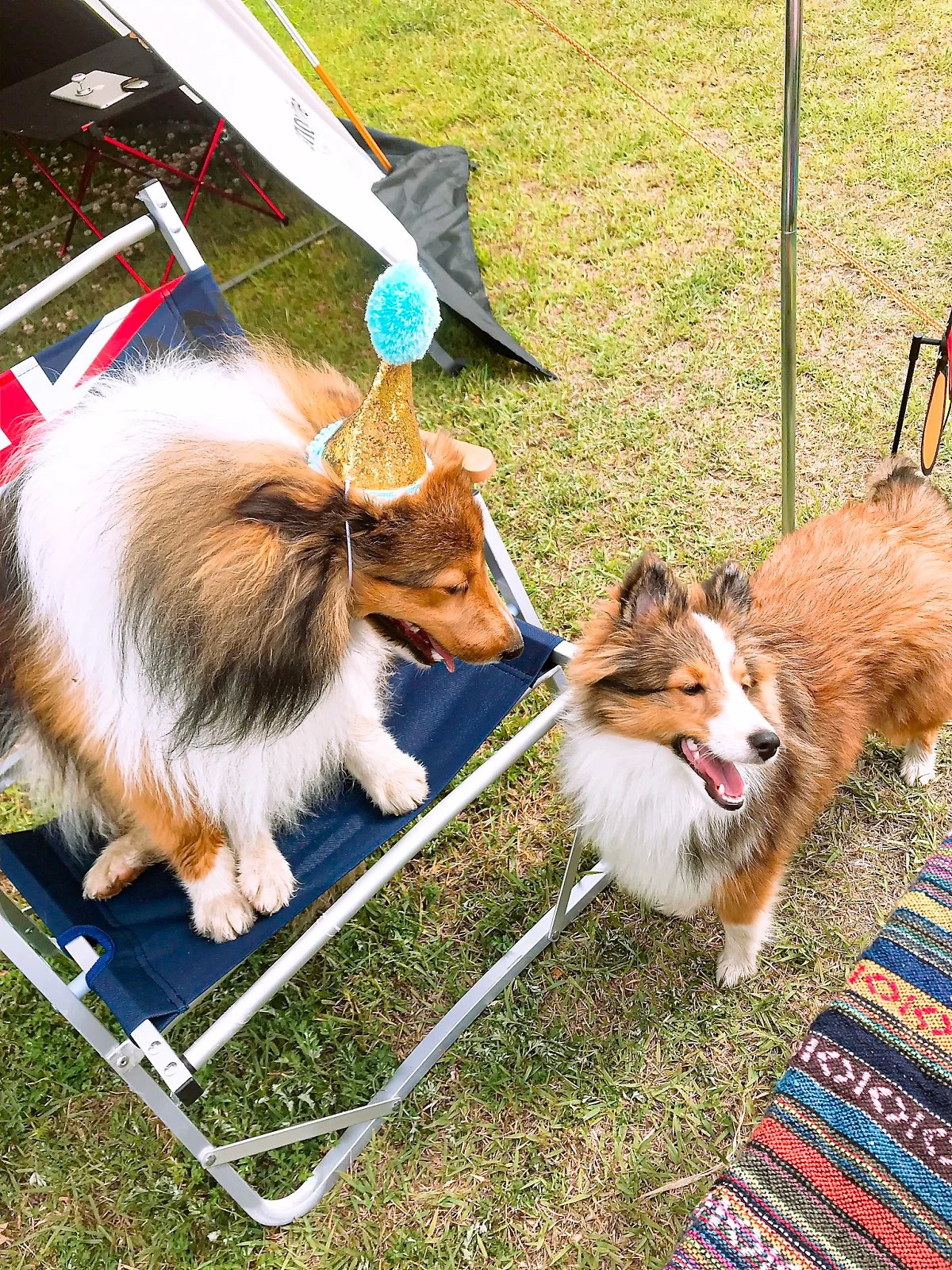 49583C7D-3160-4888-B137-07A782B9F65E.jpeg?type=w1200