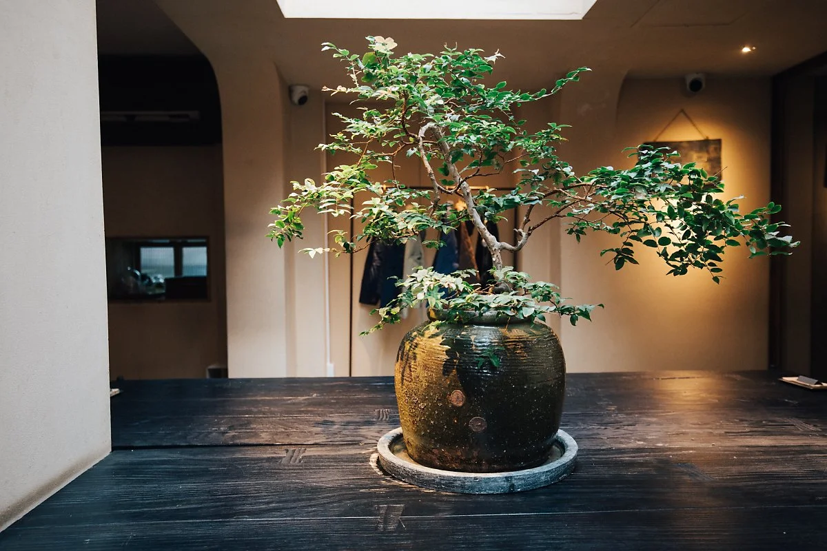 %EB%B2%A0%EC%9D%B4%EC%A7%95__-25.jpg?type=w1200