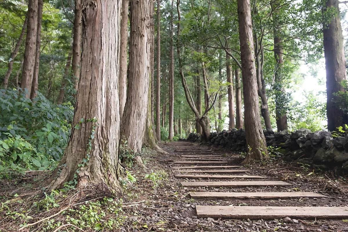 %ED%81%AC%EA%B8%B0%EB%B3%80%ED%99%98%EB%AC%BC%EC%98%81%EC%95%84%EB%A6%AC_%282%29.jpg?type=w1200