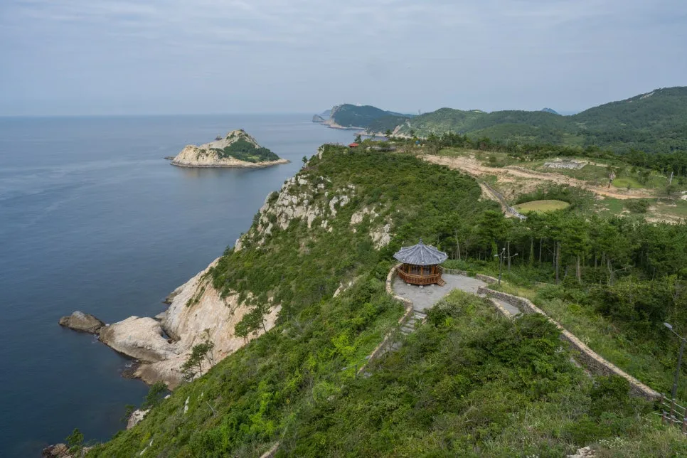 %ED%95%98%EC%B6%94%EC%9E%90_%EB%8C%80%EC%99%95%EC%82%B0_(2).jpg?type=w966