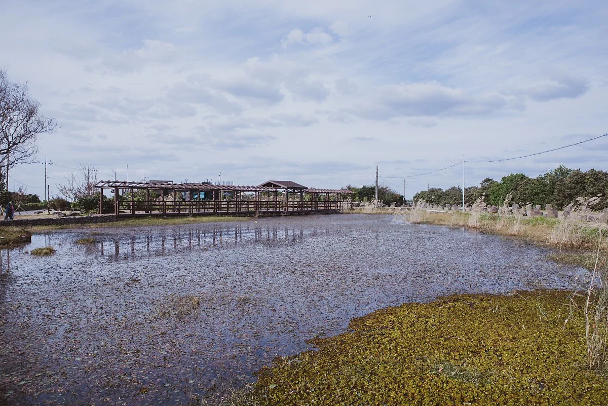 %EB%82%A8%EC%83%9D%EC%9D%B4%EB%AA%BB_001.jpg?type=w1200