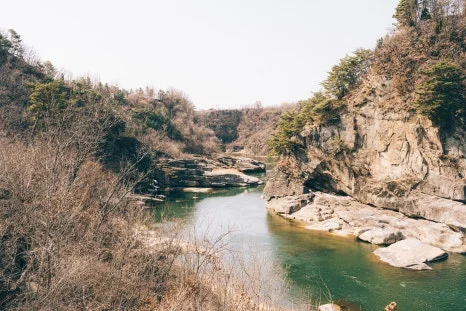 %EC%B2%A0%EC%9B%90_(8_-_11).jpg?type=w466