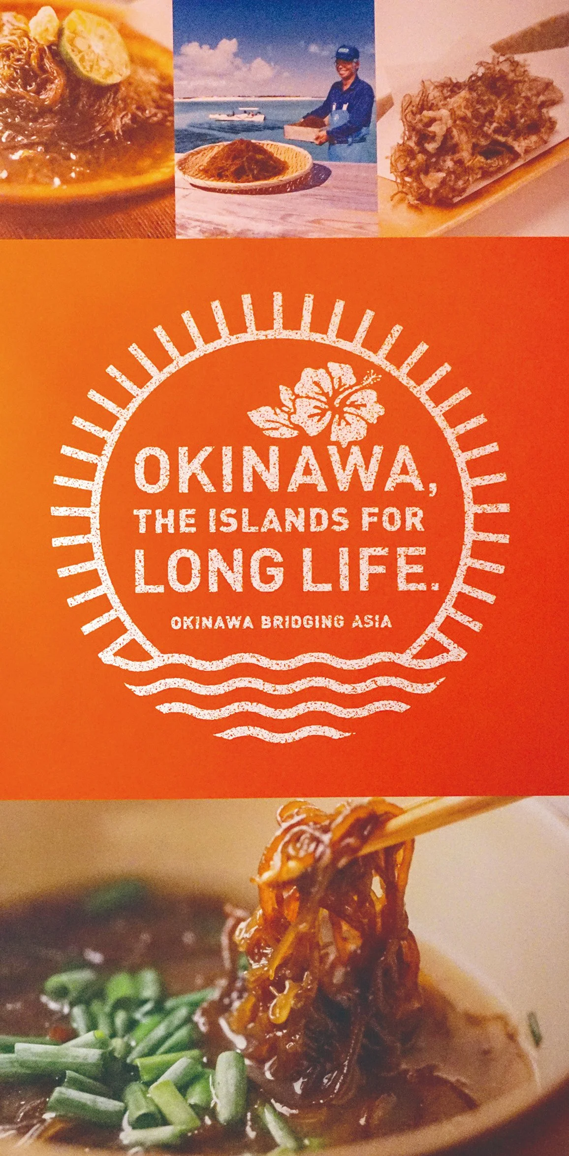 image_3977074551608267816970.jpg?type=w1200