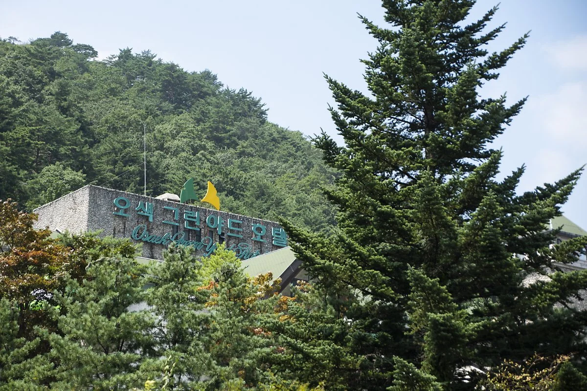 6._%EC%98%A4%EC%83%89_%EA%B7%B8%EB%A6%B0%EC%95%BC%EB%93%9C%ED%98%B8%ED%85%94_%281%29.jpg?type=w1200