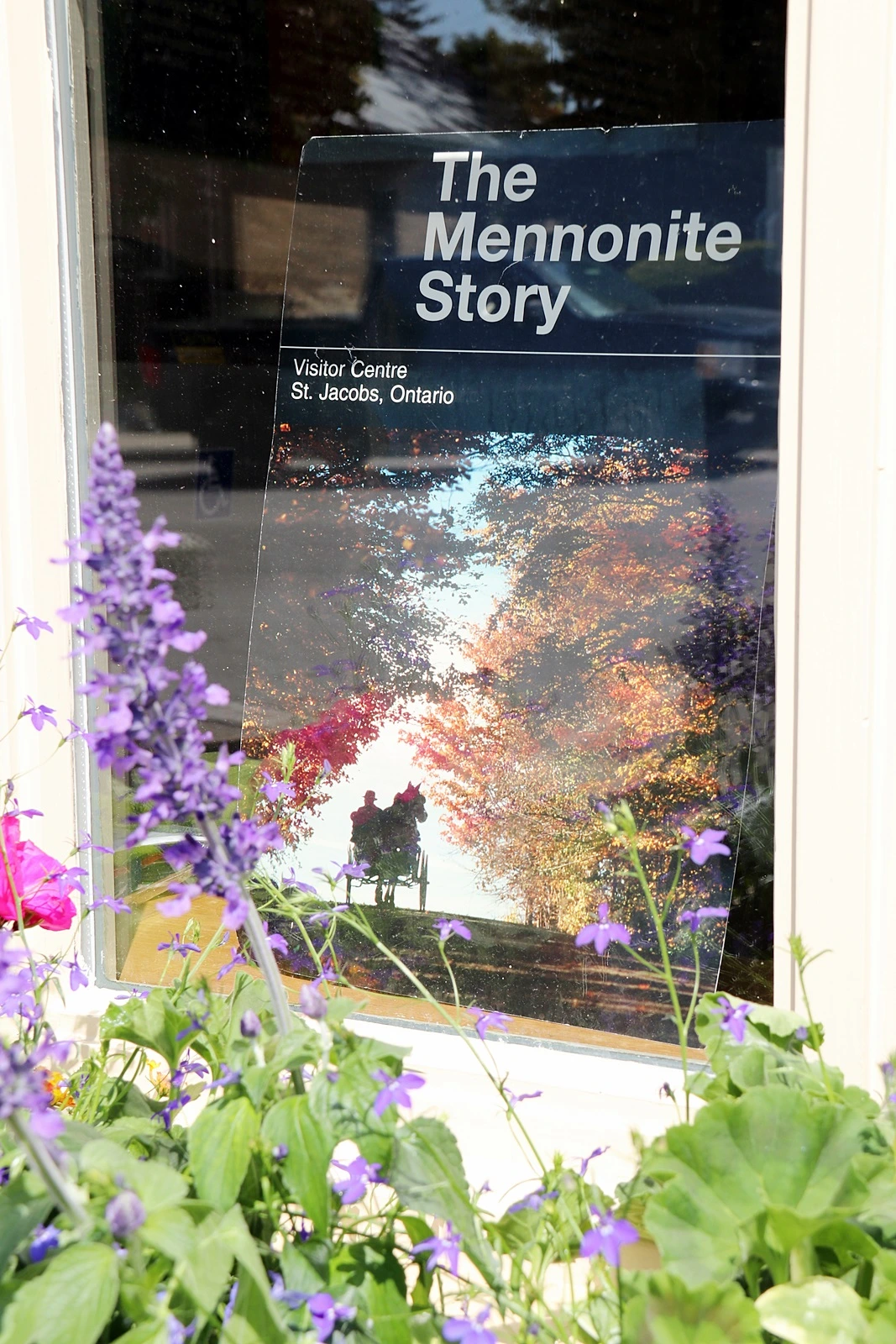 7. Mennonite Story 2.JPG