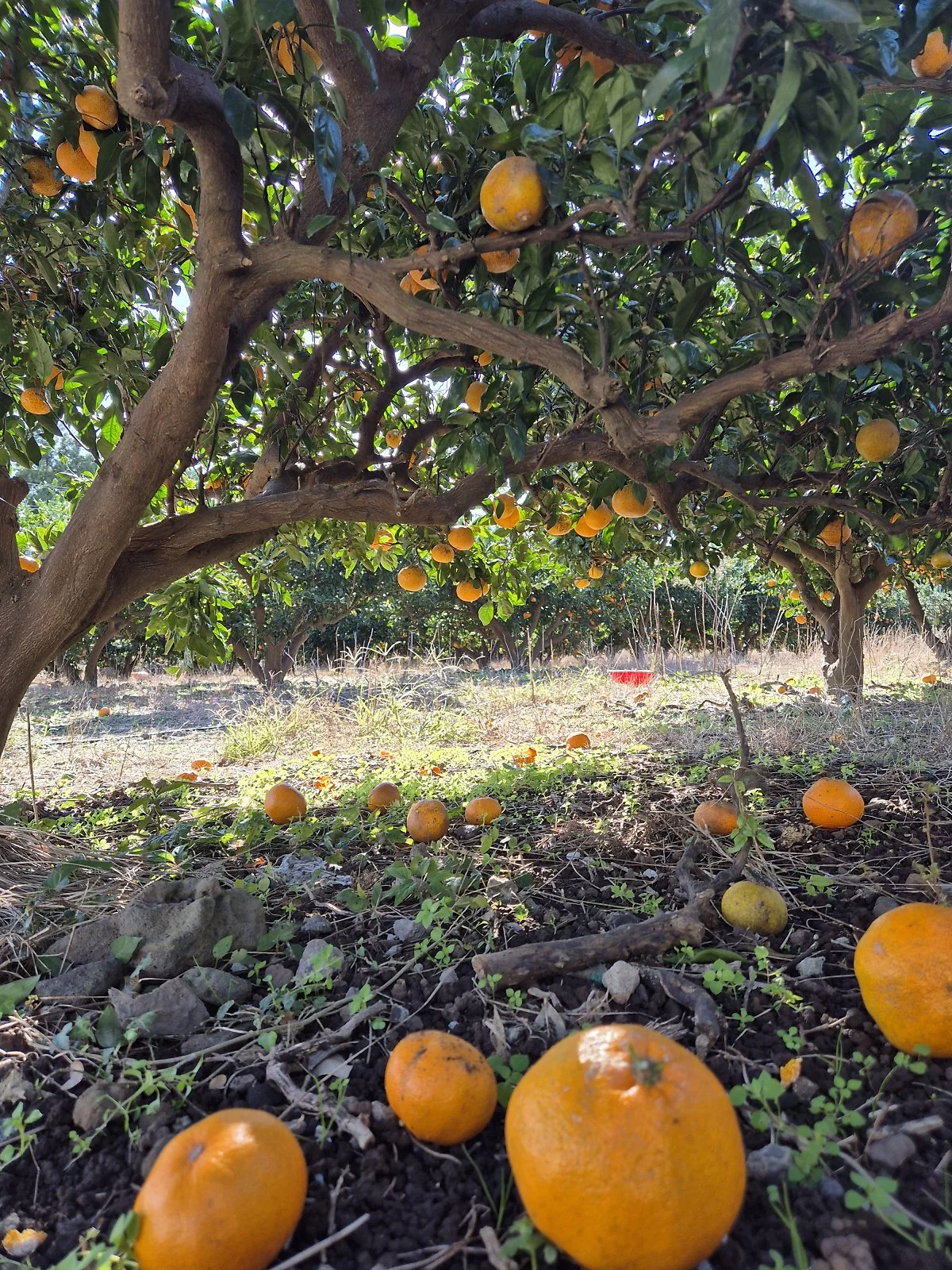 %ED%95%98%EB%A1%80%EB%A7%88%EC%9D%84%EC%9D%80_%EC%96%B4%EB%94%9C_%EA%B0%80%EB%82%98_%EA%B0%90%EA%B7%A4.jpg?type=w1200