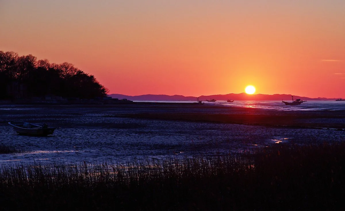 %EB%8F%99%EA%B2%80%EB%8F%84_%EC%9D%BC%EB%AA%B0..JPG?type=w1200