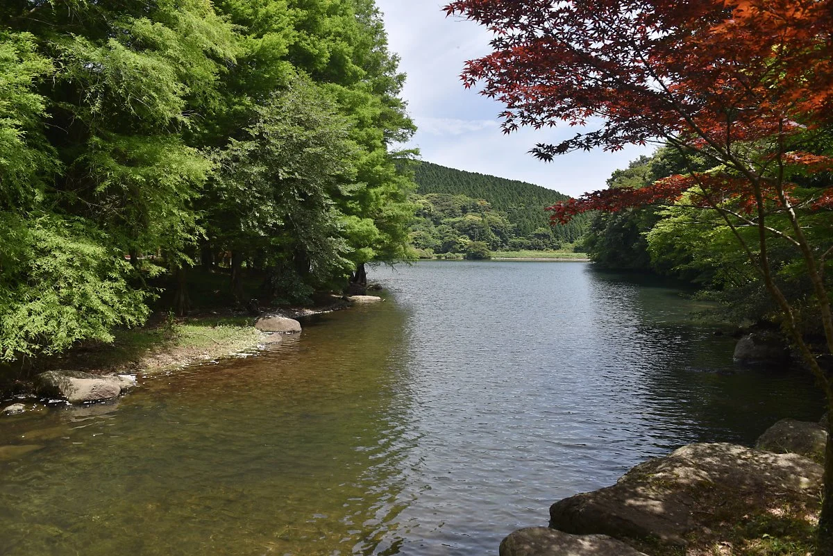 %ED%9E%88%EB%A1%9C%EC%BD%94%EC%9A%B0%EB%9D%BC_%284%29.JPG?type=w1200