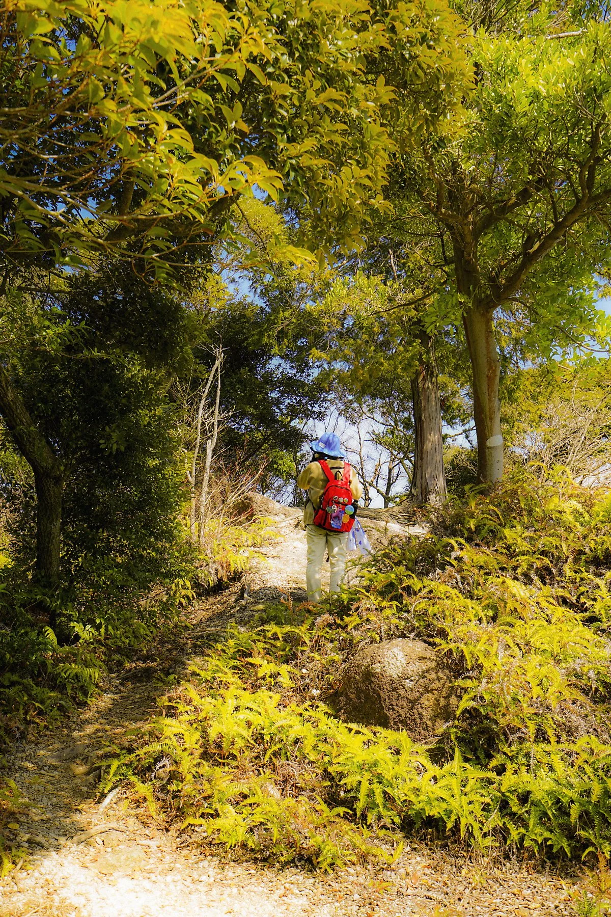 %EC%82%B0%EC%95%85_%EC%82%B0%EC%B1%85%EB%A1%9C_%2812%29.JPG?type=w1200