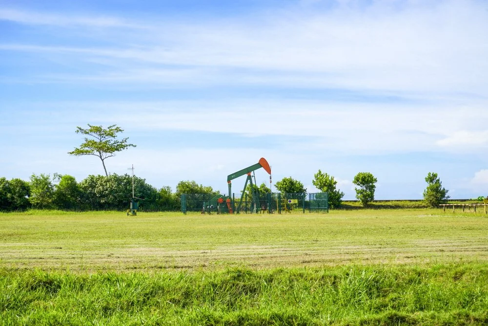 %EB%A0%88%ED%81%AC%EB%A0%88%EC%9D%B4%EC%85%98_%ED%8C%8C%ED%81%AC_%EC%8B%9C%EC%B6%94_%EC%9E%A5%EB%B9%84_%EB%AA%A8%ED%98%95.jpg?type=w1200