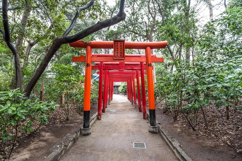 %ED%9B%84%EC%BF%A0%EC%98%A4%EC%B9%B4_Sumiyoshi_Shrine_4.jpg?type=w1200