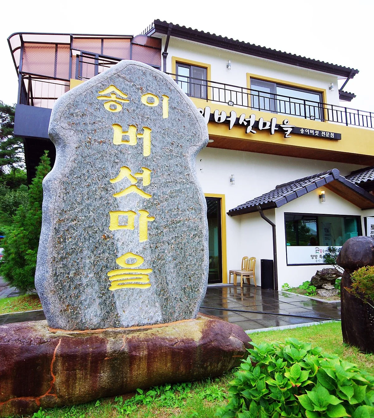 image_7051167561699249711166.jpg?type=w1200