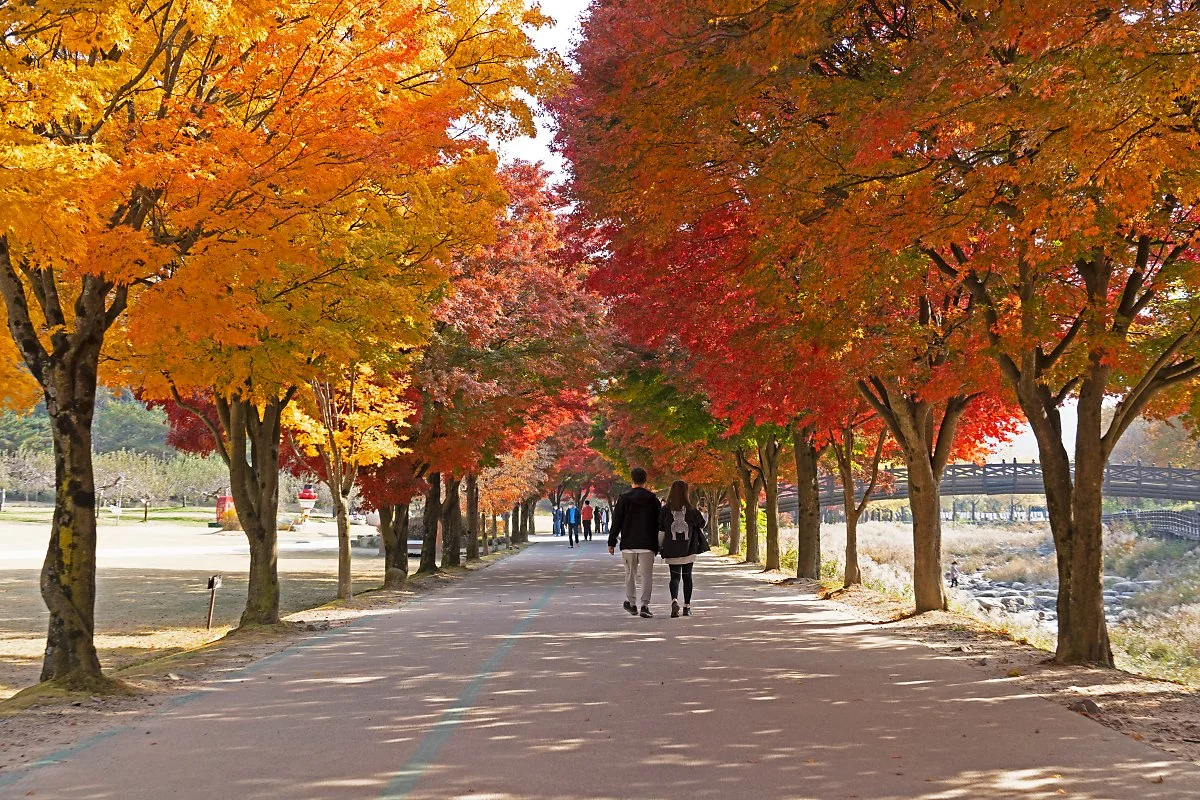 %EC%82%AC%EC%A7%844_%EC%83%88%EC%9E%AC%EB%A1%9C.jpg?type=w1200