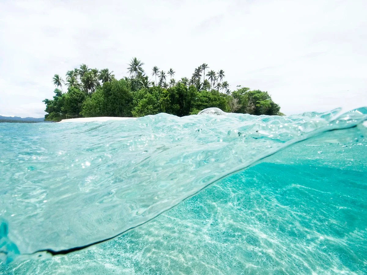 %ED%86%A0%EC%88%98%EC%95%84_%281%29.jpg?type=w1200