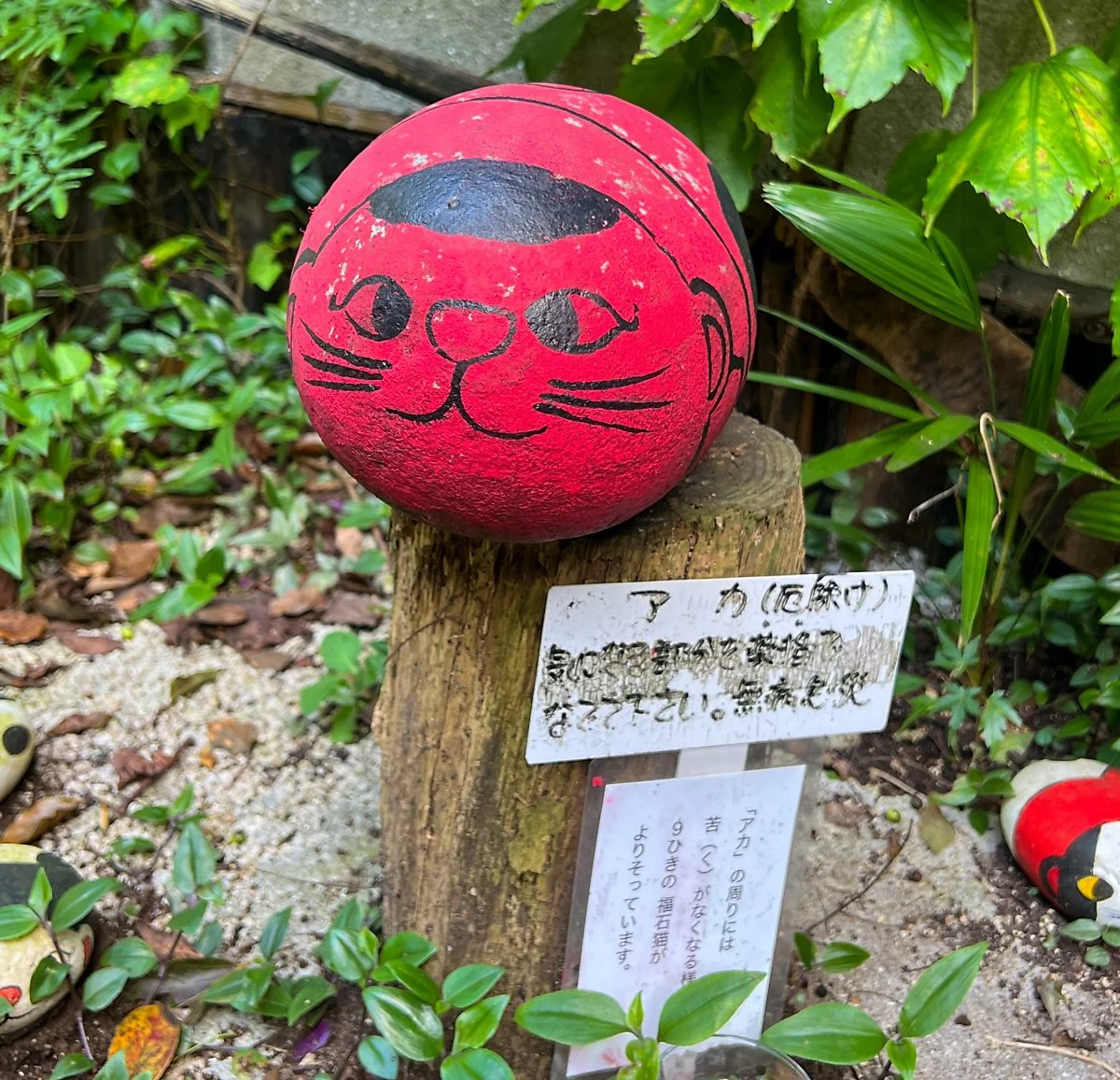 image_5346625461700704922930.jpg?type=w1200