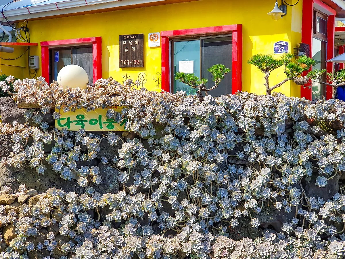 d_%EB%8B%A4%EC%9C%A1%EC%9D%B4%ED%92%8D%EA%B2%BD.JPG?type=w1200