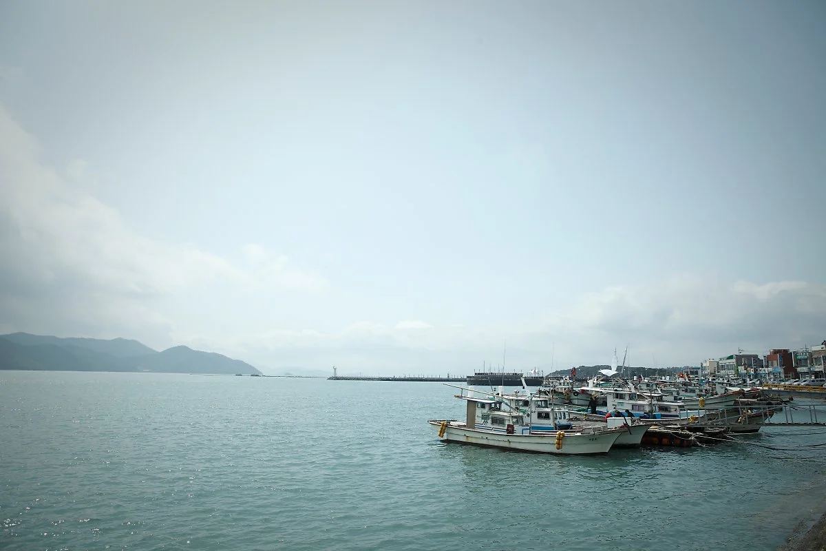 %EB%A7%88%EB%9F%89_1.jpg?type=w1200