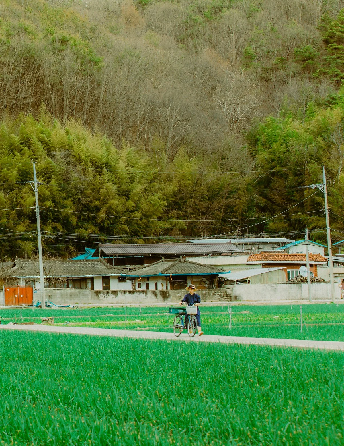 %EA%B5%AC%EC%84%B1%EB%A9%B4_%EC%96%91%ED%8C%8C%EB%B0%AD_%281_-_2%29.JPG?type=w1200