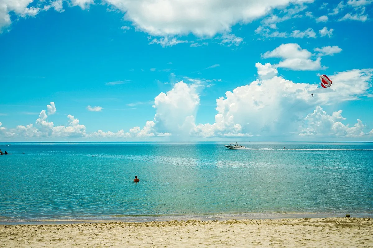 %EC%B0%A8%EC%9B%BD_%EB%B9%84%EC%B9%98.jpg?type=w1200