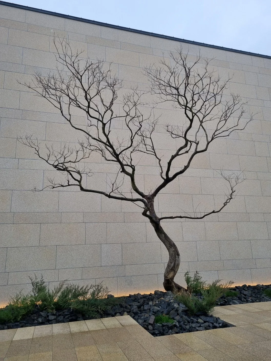 %EC%98%A4%EB%B8%8C%EC%A0%9C_%EA%B3%84%EB%8B%A8_%EC%9C%84_%EB%82%98%EB%AC%B4_%ED%95%9C_%EA%B7%B8%EB%A3%A8.jpg?type=w1200