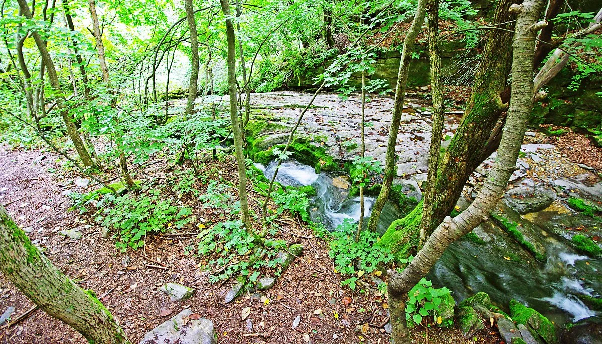 %EA%B2%80%EB%A3%A1%EC%86%8C%EC%97%90%EC%84%9C_%ED%9D%98%EB%9F%AC%EB%84%98%EC%B9%9C_%EB%AC%BC%EC%9D%B4_%EC%95%94%EB%B0%98%EB%B0%94%EC%9C%84%EC%97%90_%EA%B3%A8%EC%9D%84_%EB%A7%8C%EB%93%A4%EC%97%88%EB%8B%A4..JPG?type=w1200