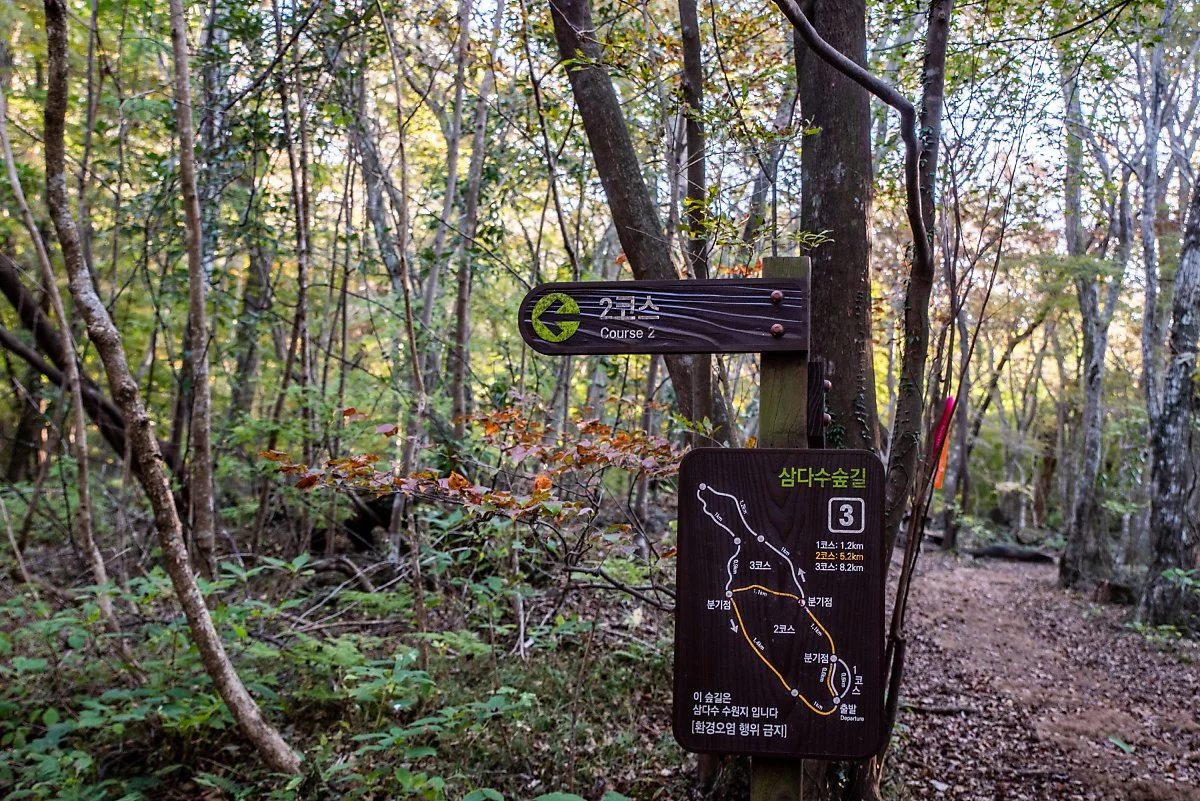 %EC%82%BC%EB%8B%A4%EC%88%98%EC%88%B2%EA%B8%B8_003.jpg?type=w1200