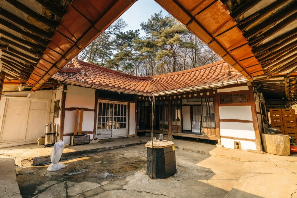 %ED%81%AC%EA%B8%B0%EB%B3%80%ED%99%98%ED%98%B8%EB%9E%91%EC%9D%B4%EB%B0%B0%EA%BC%BD%EB%A7%89%EA%B1%B8%EB%A6%AC_%287%29.jpg?type=w1200