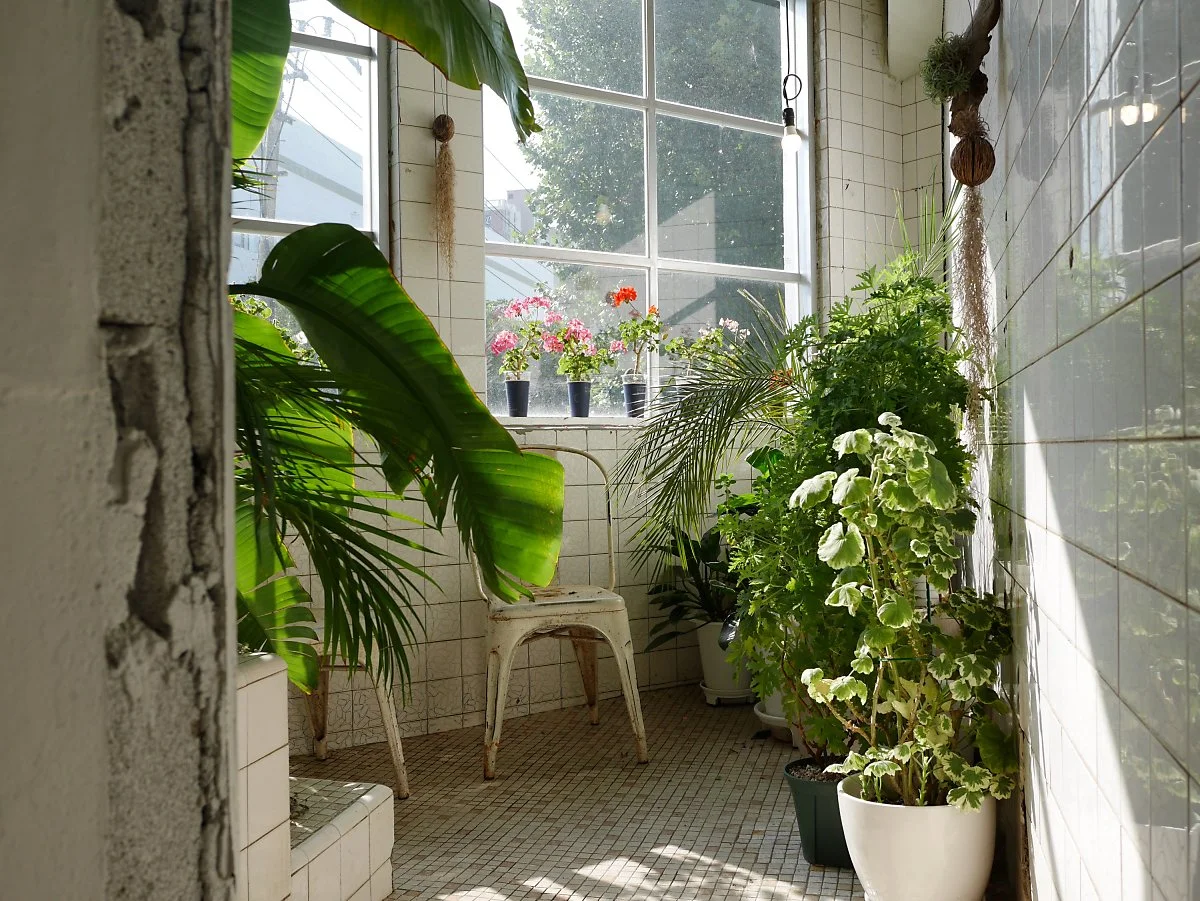 4._%EB%B9%8C%EB%A6%AC%EC%9B%8D%EC%8A%A4_%2817%29.JPG?type=w1200