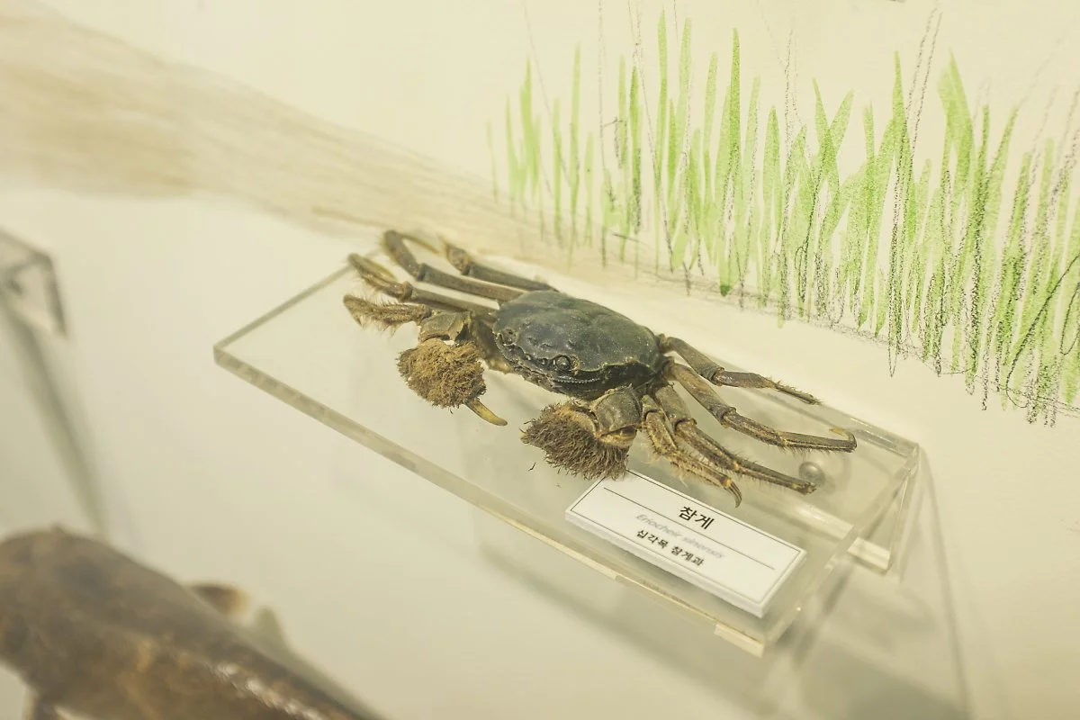 %EC%9E%A5%ED%95%AD%EB%B2%84%EB%93%A4%EC%A0%84%EC%8B%9C%EA%B4%80_%282%29.jpg?type=w1200