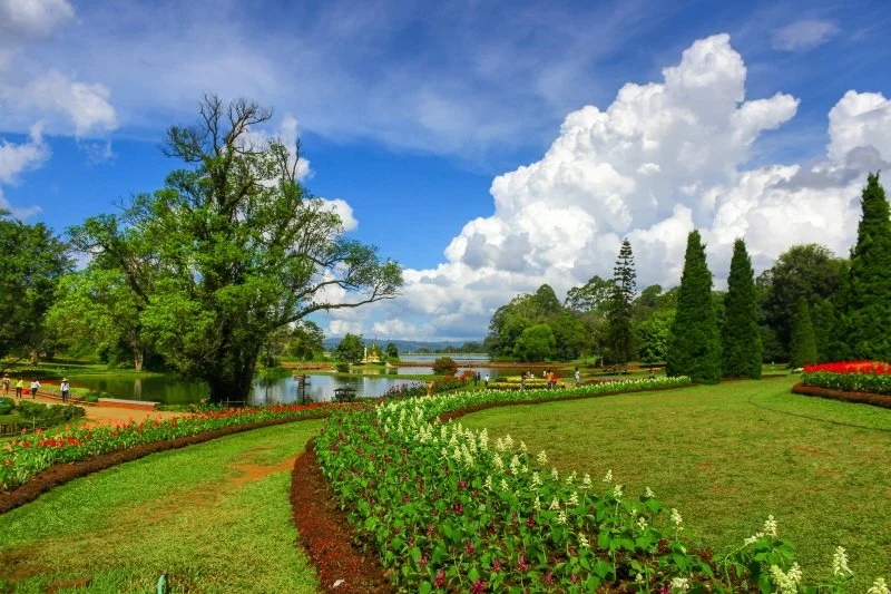 %EA%B9%90%EB%8F%84%EC%A7%80_%EA%B3%B5%EC%9B%90_%E2%93%92Sutterstock.jpg?type=w1200