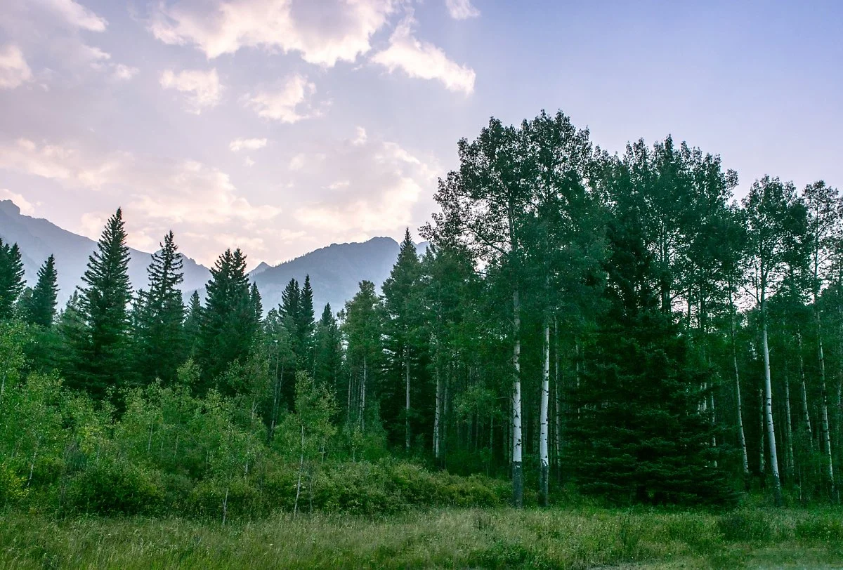 %EB%B0%B4%ED%94%84_%287%29.jpg?type=w1200