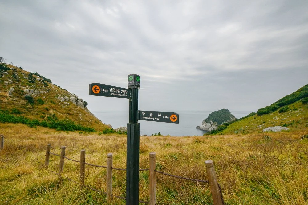 %EB%A7%A4%EB%AC%BC%EB%8F%84_%ED%95%B4%ED%92%88%EA%B8%B8_%ED%83%90%EB%B0%A9%EB%A1%9C.jpg?type=w1200