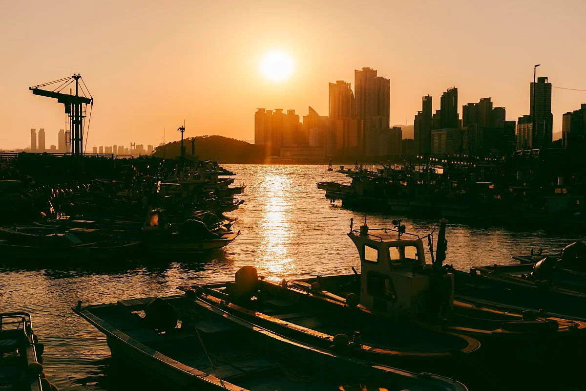 d_%EB%AF%B8%ED%8F%AC%EB%B0%A9%ED%8C%8C%EC%A0%9C.jpg?type=w1200