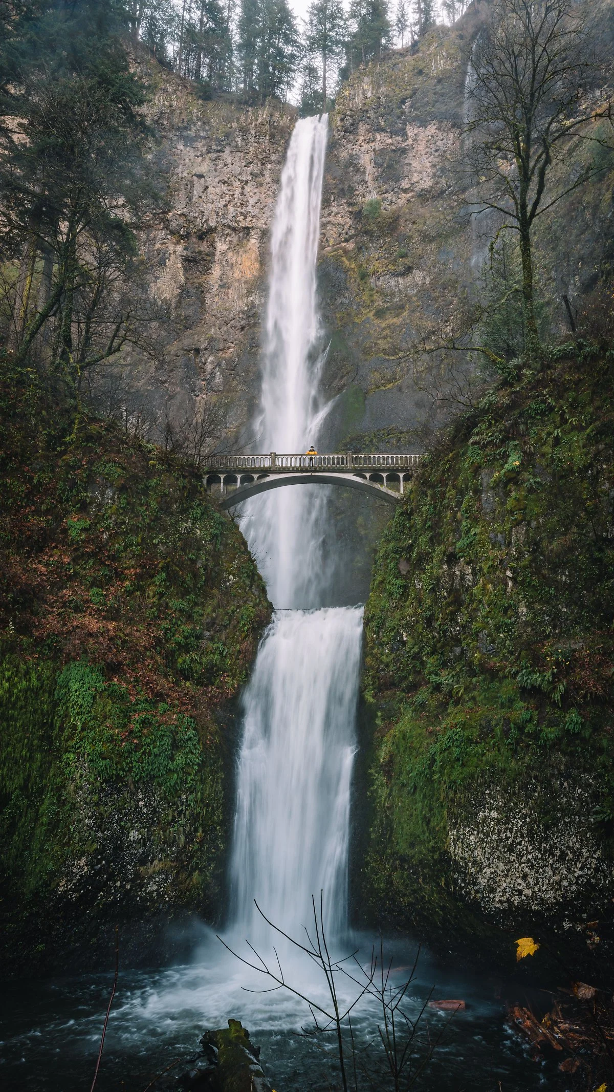 DSC04887.jpg?type=w1200