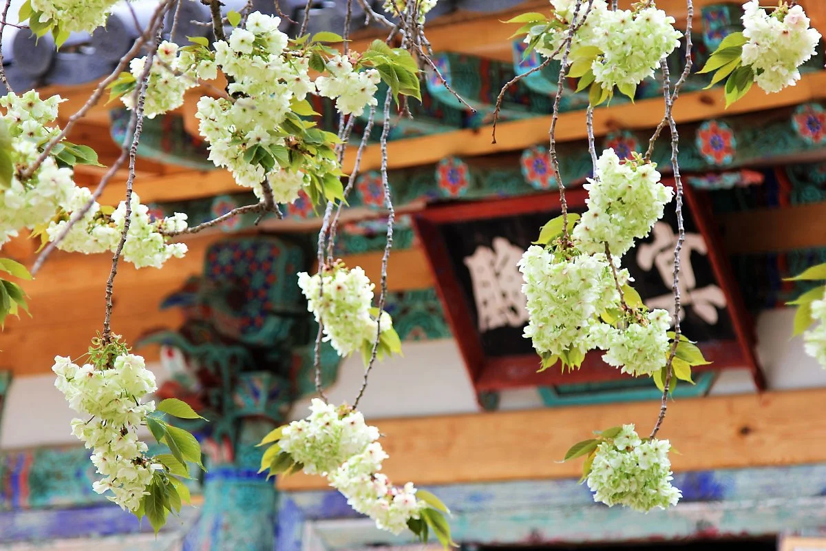 04%EA%B0%9C%EC%8B%AC%EC%82%AC_%281%29.JPG?type=w1200