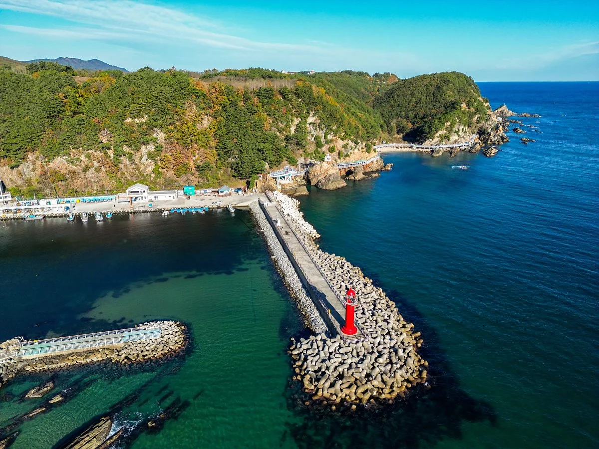 %ED%81%AC%EA%B8%B0%EB%B3%80%ED%99%98%EC%8B%AC%EA%B3%A1%ED%95%AD.jpg?type=w1200