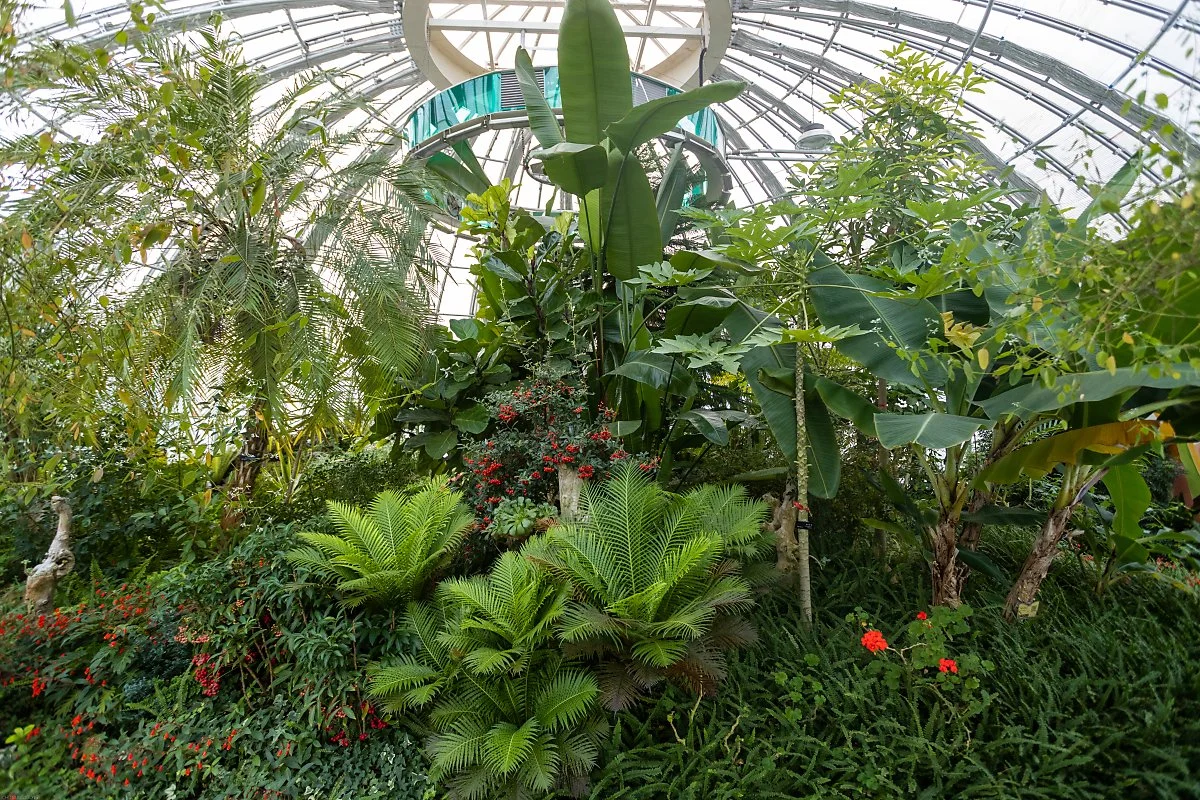 16_%EC%98%A8%EC%8B%A4%EB%82%B4%EB%B6%80.jpg?type=w1200