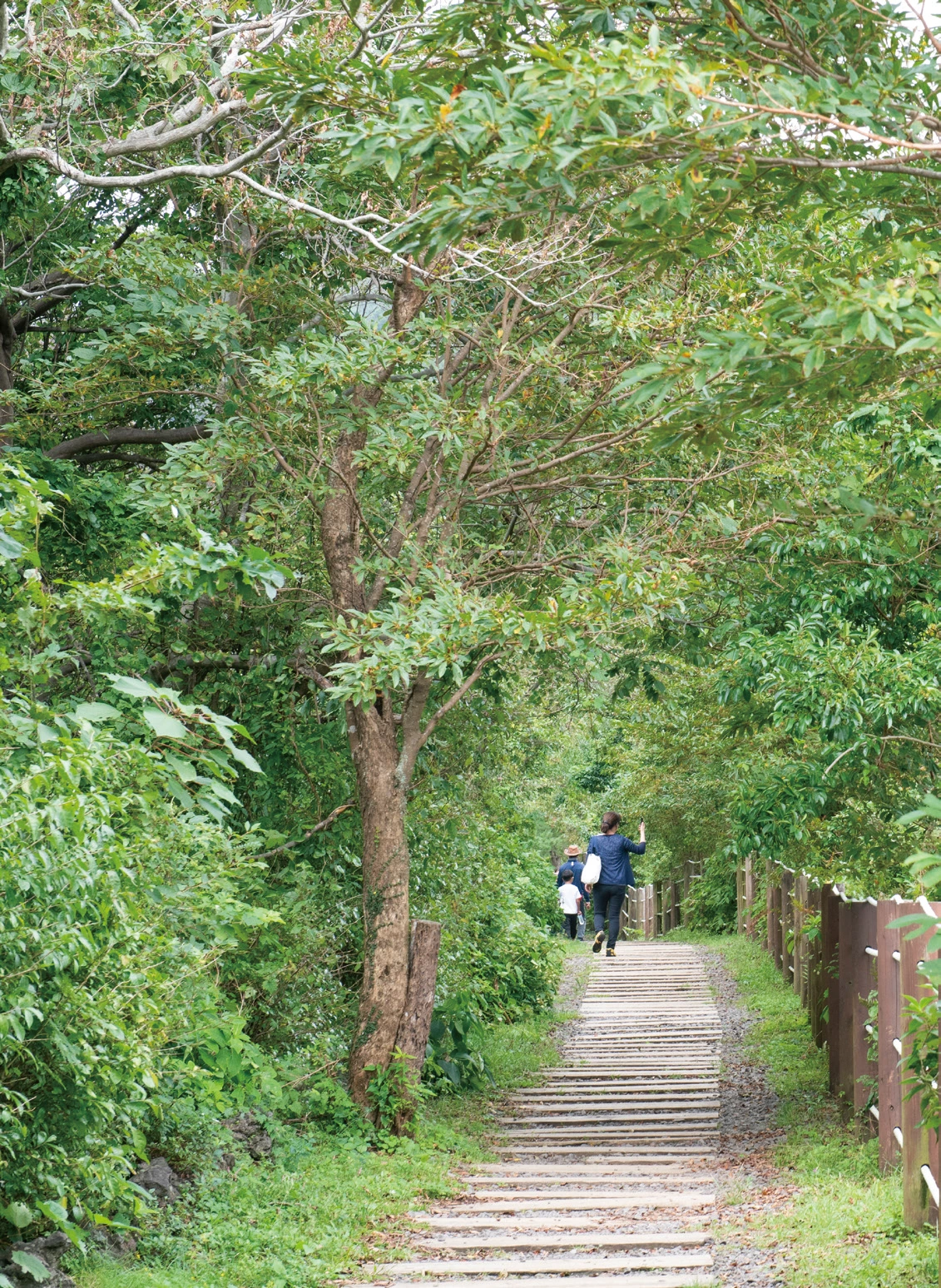 image.png?type=w1200