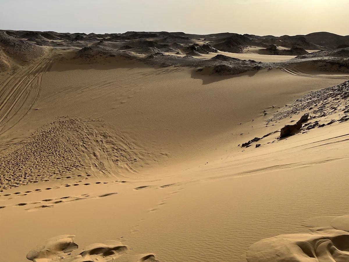 %EB%AA%A8%EB%9E%98%EC%82%AC%EB%A7%891.JPG?type=w1200