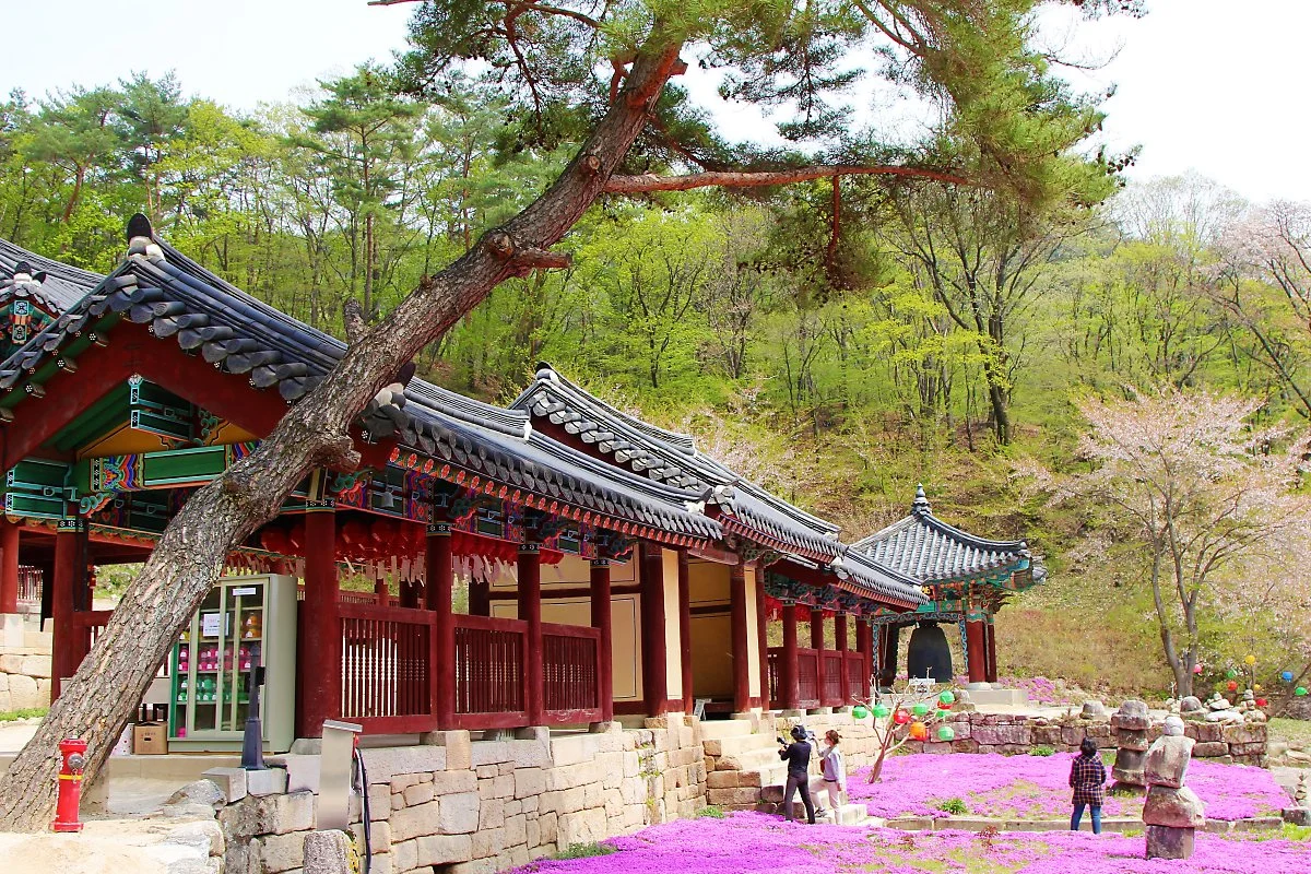 05%EC%B2%AD%ED%8F%89%EC%82%AC.JPG?type=w1200