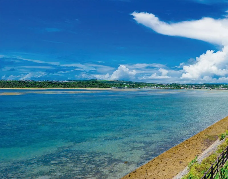 2-2-1.jpg?type=w1200