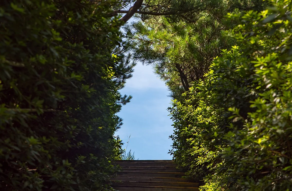 %EB%8B%A4%EB%9E%91%EC%89%AC%EC%98%A4%EB%A6%84_001.jpg?type=w1200