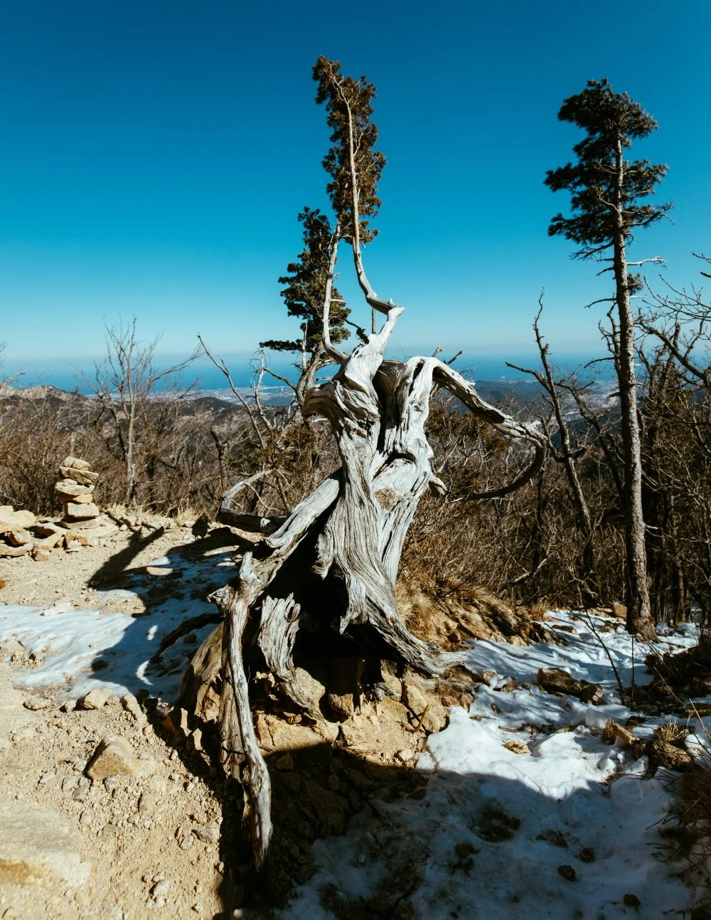 %EA%B6%8C%EA%B8%88%EC%84%B1_%283%29.JPG?type=w1200