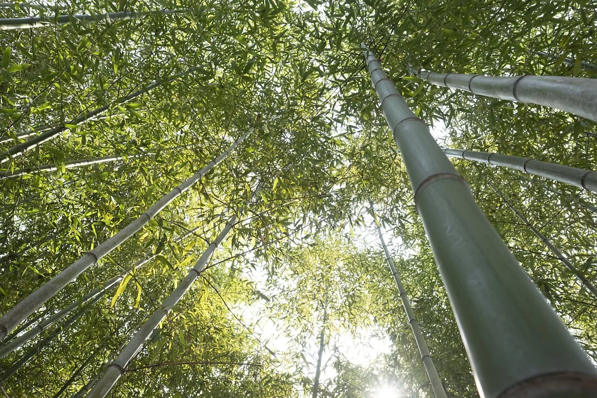 %EA%B0%95%EC%A7%84_%EC%9D%B4%EB%AF%B8%EC%A7%80_1.jpg?type=w1200