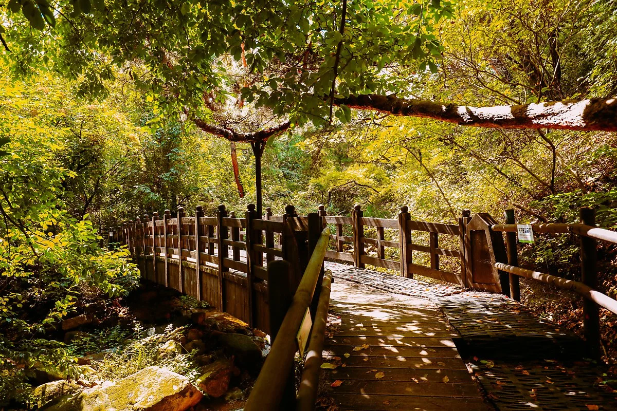 %EA%BC%AD_%EB%84%A3%EC%96%B4%EC%A3%BC%EC%84%B8%EC%9A%94_%EA%B7%BC%ED%98%84%EB%8C%80%EC%82%AC_%EA%B8%B0%EB%85%90%EA%B4%80_%283%29.JPG?type=w1200