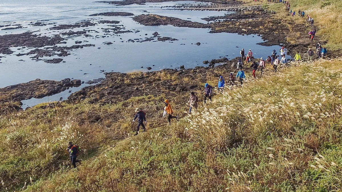 %EC%A0%9C%EC%A3%BC%EC%98%AC%EB%A0%88%EA%B1%B7%EA%B8%B0%EC%B6%95%EC%A0%9C_%284%29.jpg?type=w1200