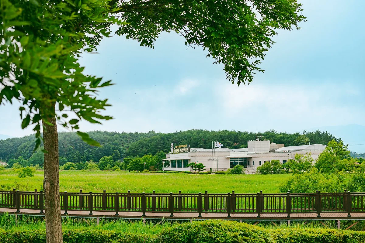 d_%EC%98%A4%EC%82%B0%EB%A6%AC%EC%84%A0%EC%82%AC%EC%9C%A0%EC%A0%81%EB%B0%95%EB%AC%BC%EA%B4%80.jpg?type=w1200