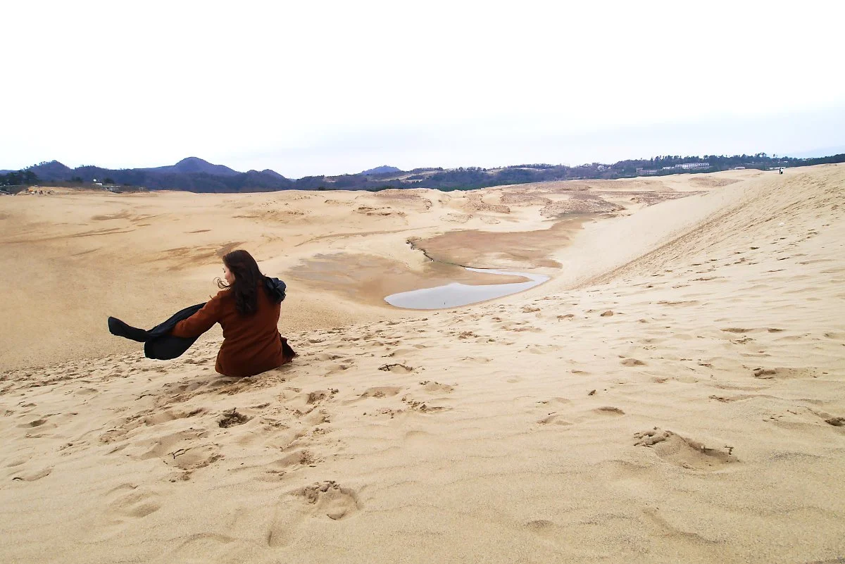 %EB%8F%97%ED%86%A0%EB%A6%AC_%EC%82%AC%EA%B5%AC_%282%29.jpg?type=w1200